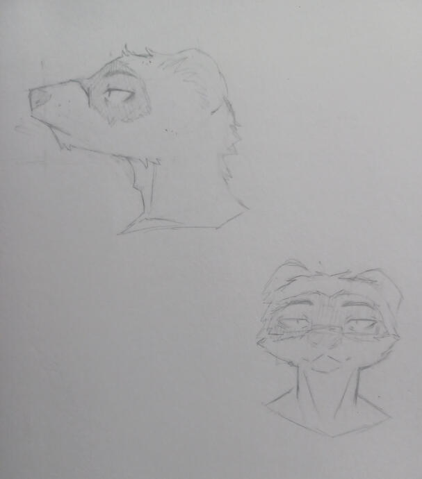 Ferret guy concept