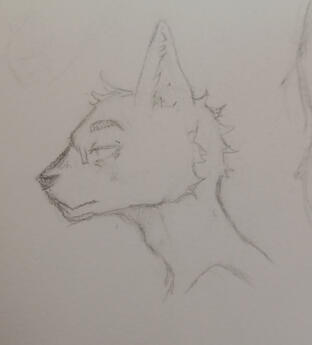 Another cat guy Another cat guy